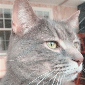 Meet your Posher, Kerr